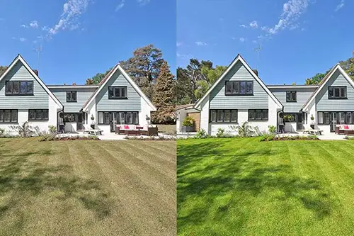 digital lawn enhanced